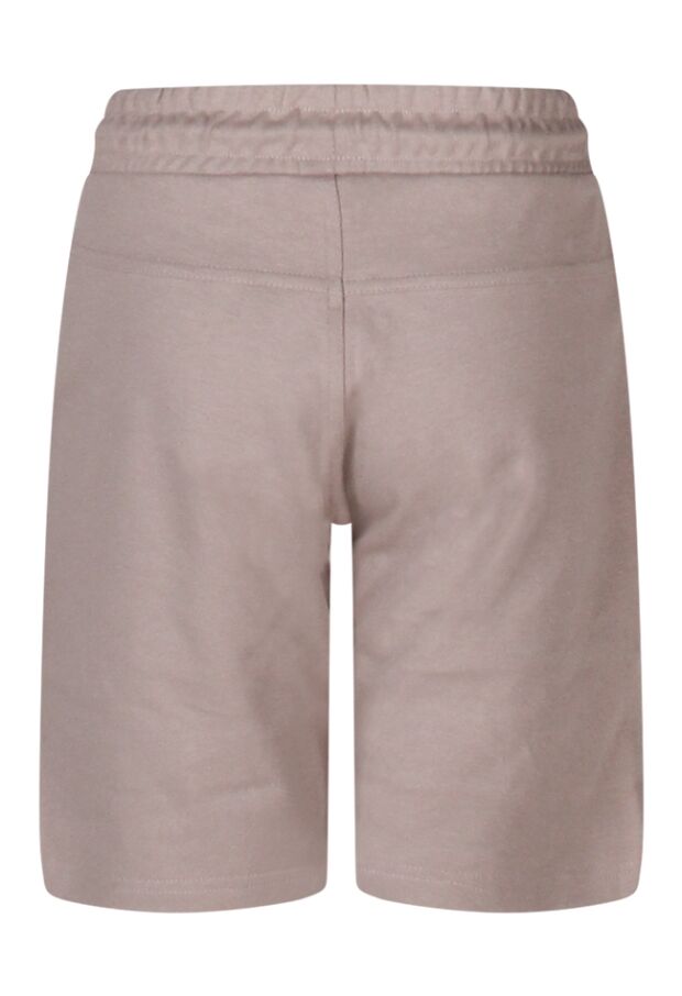 Z90391/Aster licht grijs 