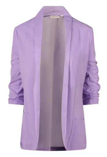 Citylife Z90462/403689A DONKER LILA  sunlit alium