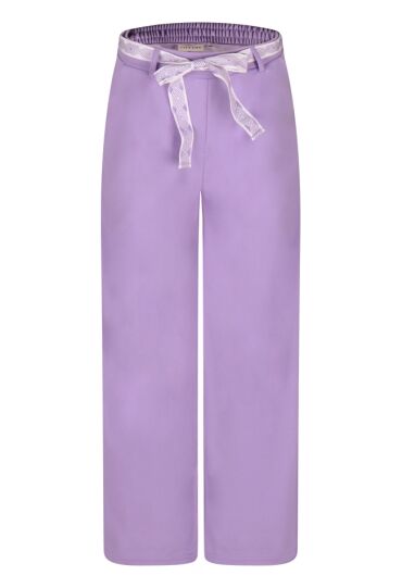 Citylife Z90464/505477A DONKER LILA  sunlit allium