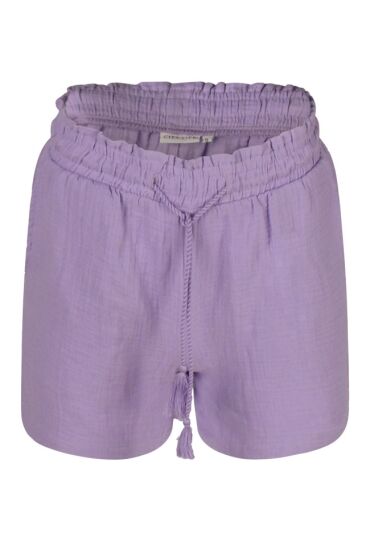 Citylife Z90476/601932 DONKER LILA  sunlit allium