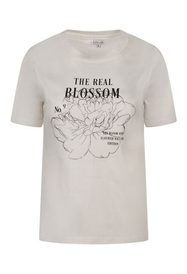 Citylife Z90707/LW93386 Ecru 1  snow white