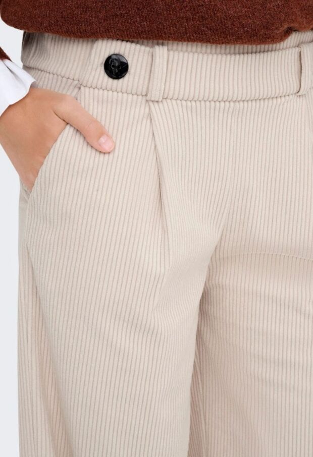 15357186 Pumice Stone 