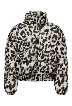 JDY 15353988 Moonbeam/TIGERS EYE-BLACK LEO  201511001