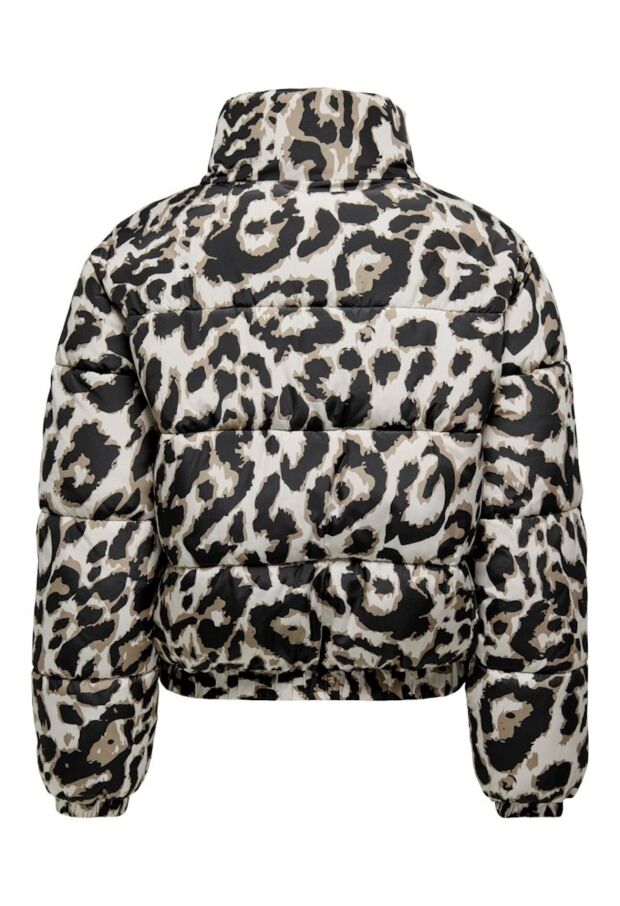 15353988 Moonbeam/TIGERS EYE-BLACK LEO