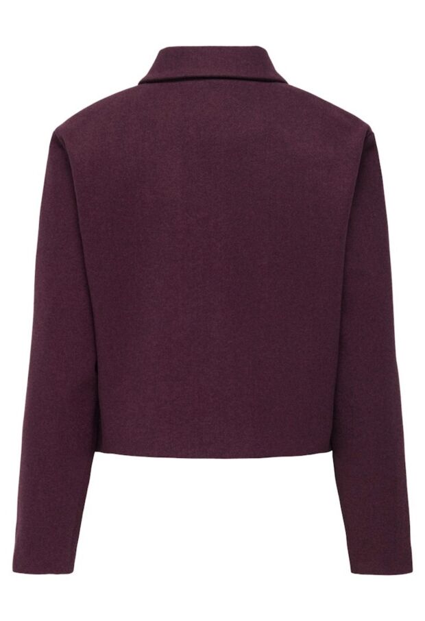 15311852 Fig/W. DTM LUREX 