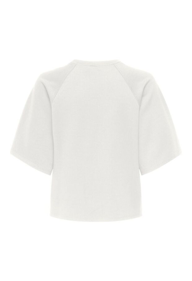 15356138 Cloud Dancer 