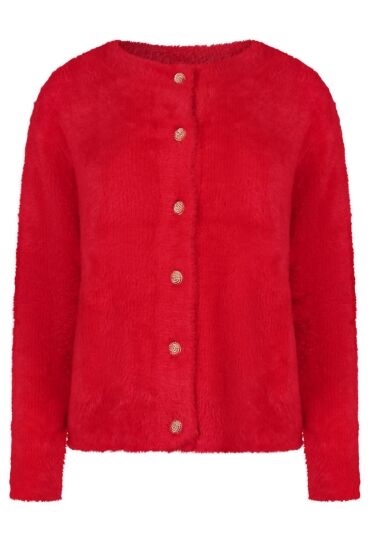 Citylife W10501/LSW7280126 ROOD  goji berry