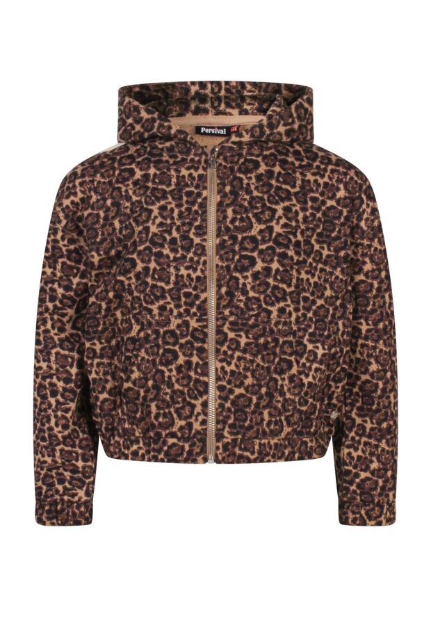 W10040/3110404 Bruin 