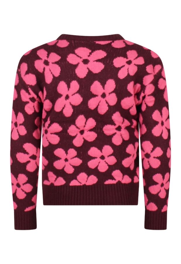 W10057/3110302 grape 