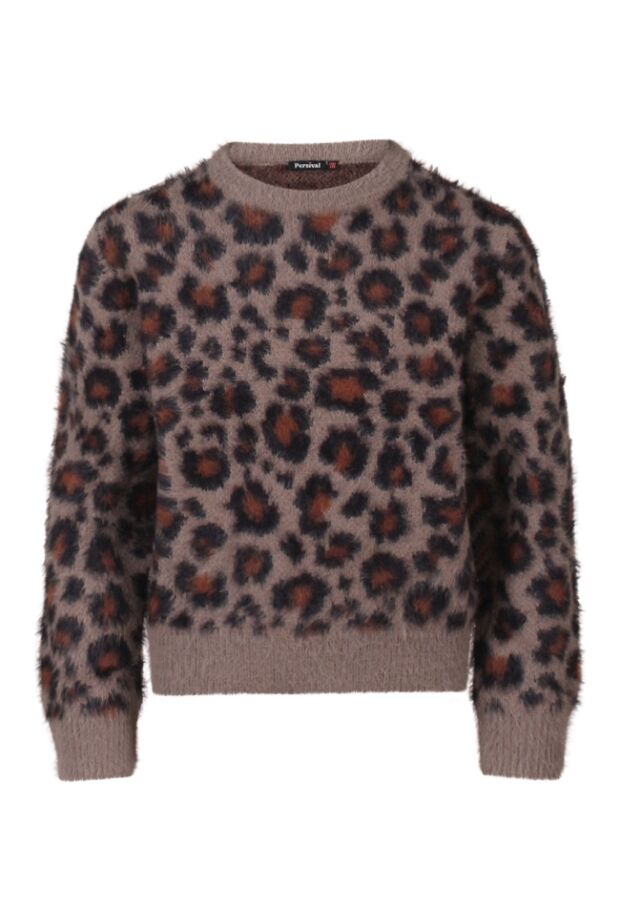 W10061/3110306 Bruin 