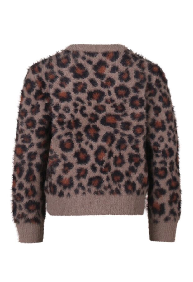 W10061/3110306 Bruin 