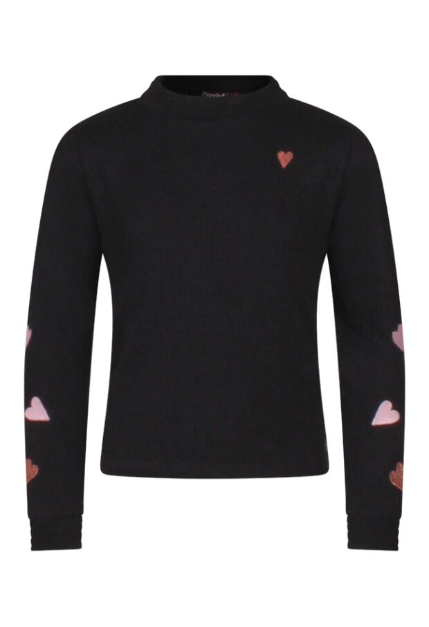 W10062/3110601 zwart 