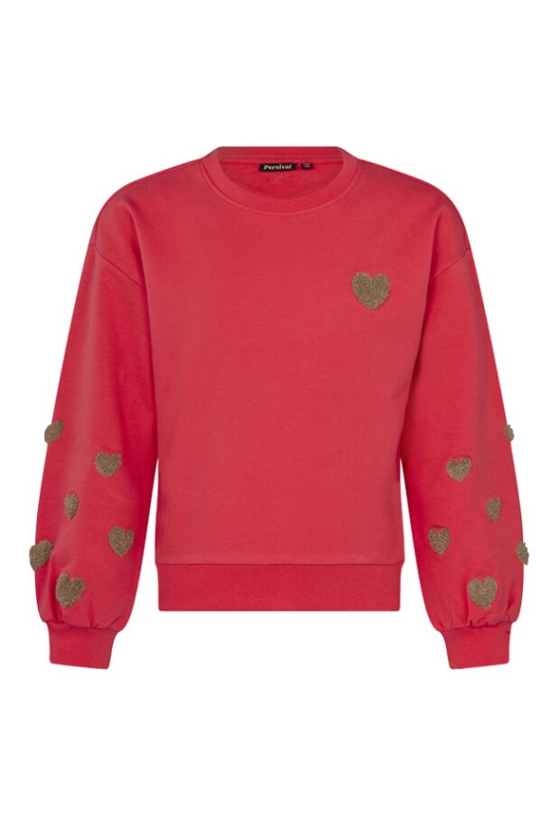 W10063/3110407 koraal 