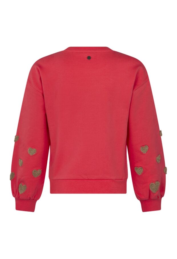 W10063/3110407 koraal 