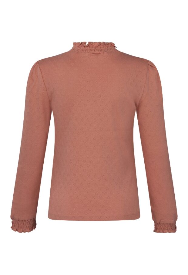 W10141/3110606 OUD ROSE 