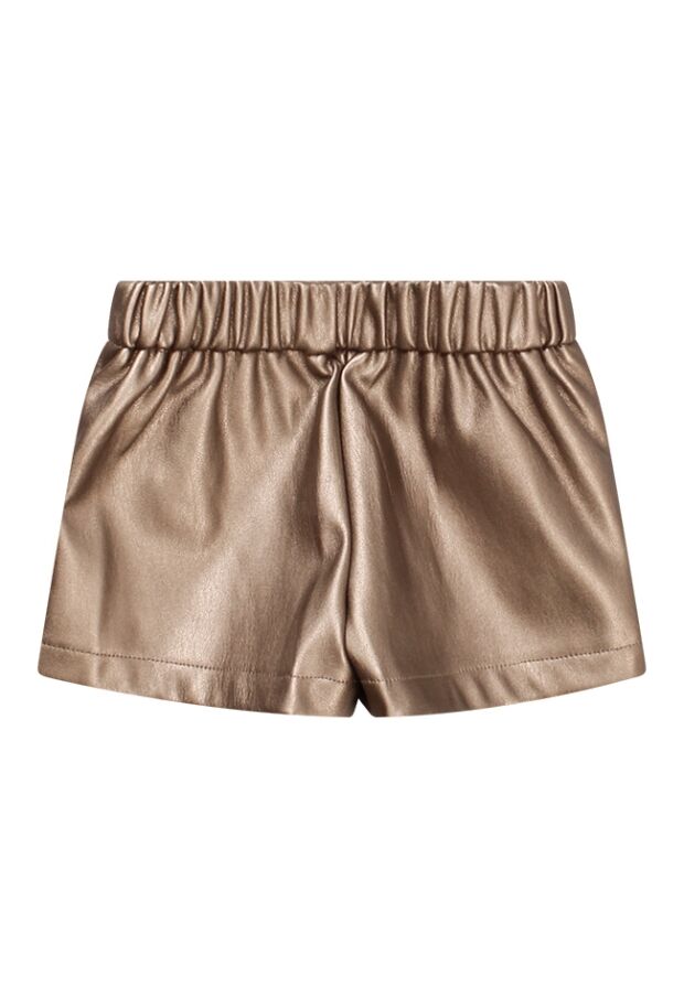 W10169/3115207 Brons 