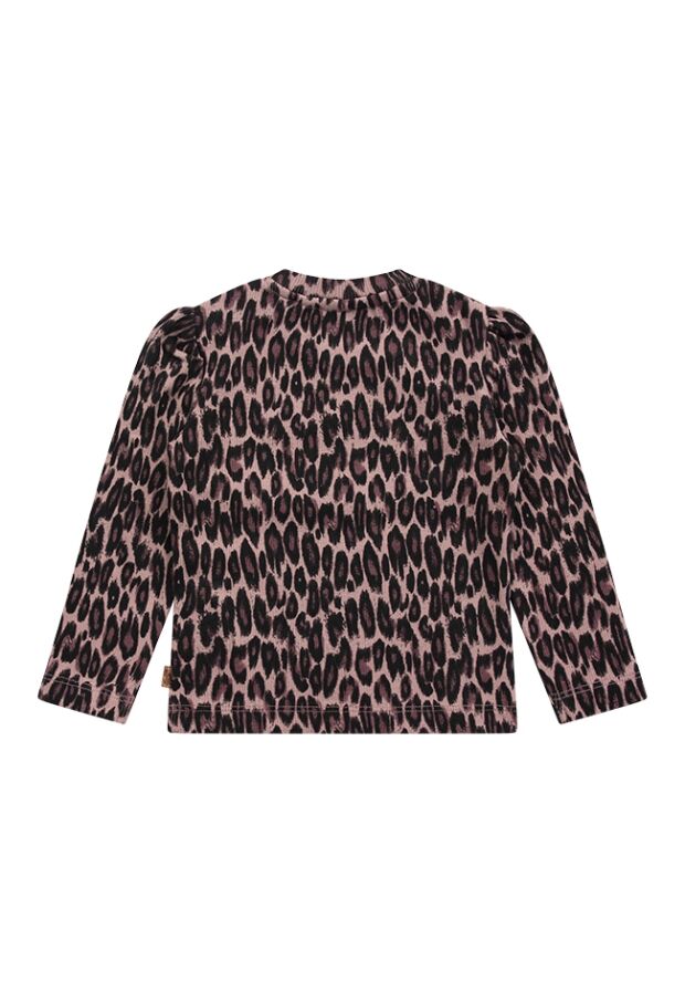 W10187/3115602 OUD ROSE 