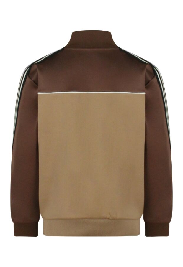 W10281/3117404 Bruin 