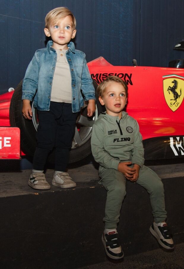 W10292/3111601 licht grijs 