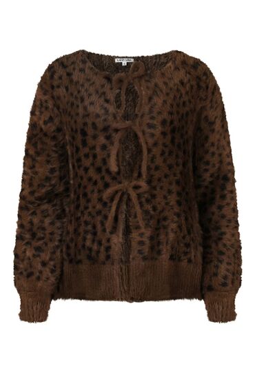 Lizzi Lou W10411/Tina Bruin  brown