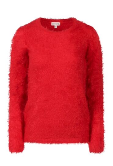 Citylife W10416/LW00347 ROOD  goji berry