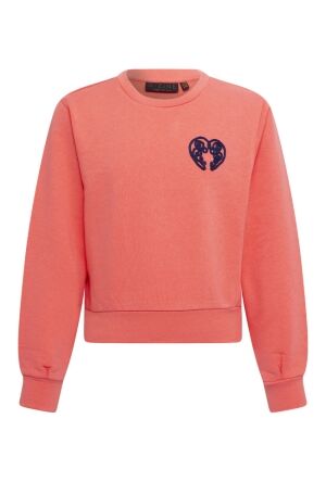 D-zine W10104/Tana koraal  winter coral