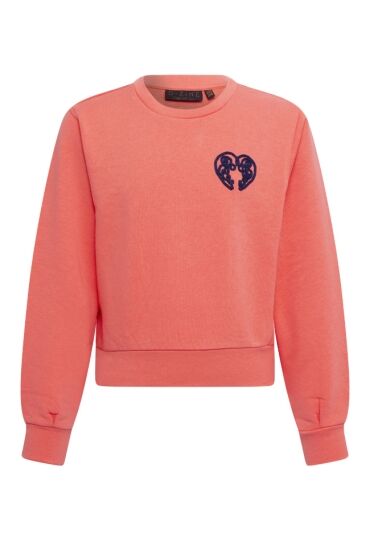 D-zine W10104/Tana koraal  winter coral