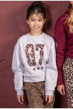 D-zine W10111/Teodora GRIJS MELEE  grey melee