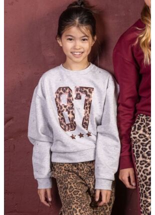 W10111/Teodora GRIJS MELEE 