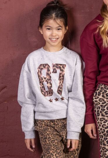 D-zine W10111/Teodora GRIJS MELEE  grey melee