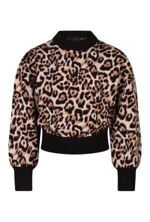 D-zine W10117/Tanomi KIT  kit