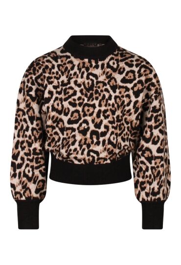 D-zine W10117/Tanomi KIT  kit