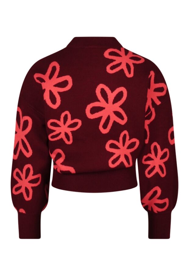 W10117/Tanomi DONKER ROOD 