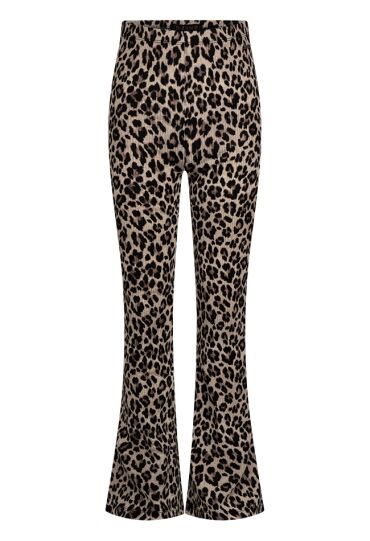 D-zine W10123/Truda aop KIT  kit