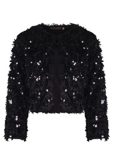 D-zine Vesten D-zine  zwart