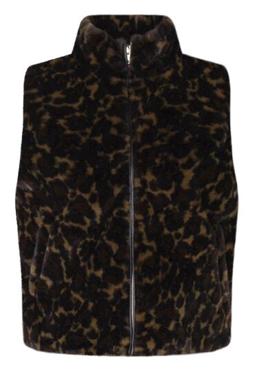 Lizzi Lou W10337/LJ-66189 Bruin  bruin