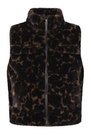 D-zine W10338/GJ-66188 Bruin  bruin