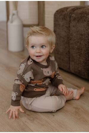 Flinq W10347/Beary taupe  iron