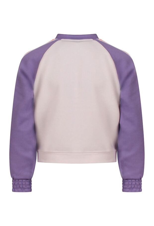 Z10089/3210404 violet